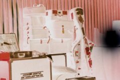 1257772925_redsnapper_misc_22