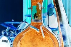 1257772975_redsnapper_misc_10