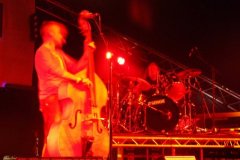 1257772999_redsnapper_misc_04