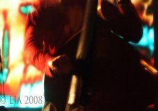 1257773003_redsnapper_misc_03